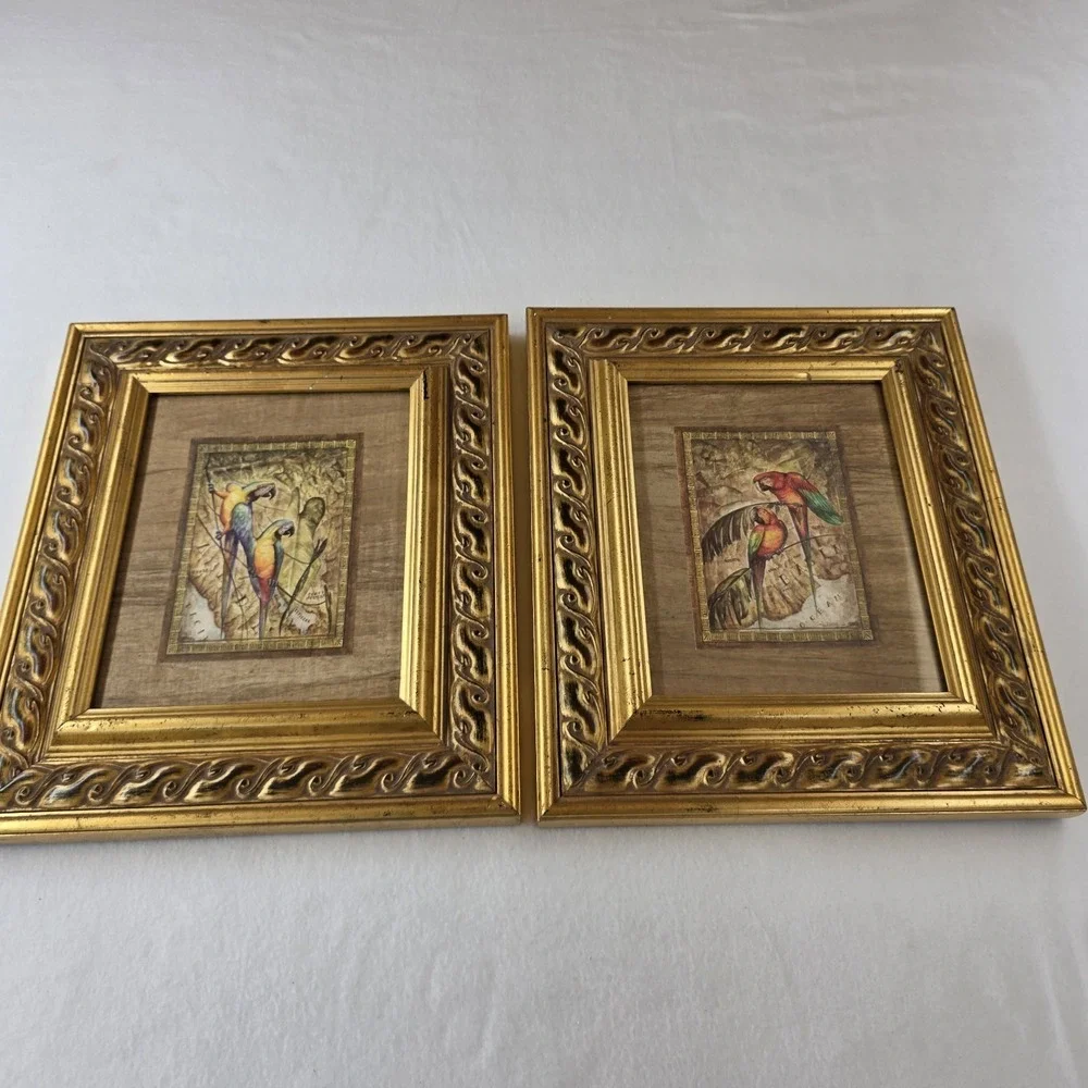 Pair Steve Butler Framed Parrot Art Prints Caribbean Color Macaw Gold Ornate Set